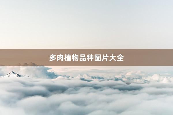 多肉植物品种图片大全