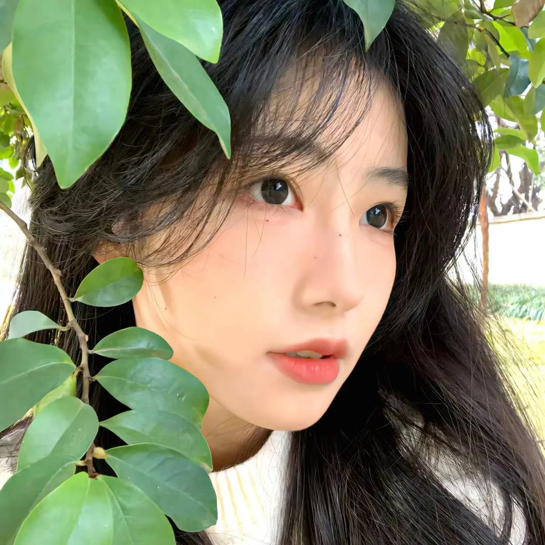 烽火桃源